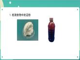 2.5 食物中的营养课件+教案+练习+任务单 教科版四上科学