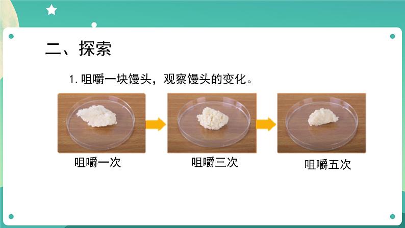 2.7 食物在口腔里的变化课件+教案+练习+任务单 教科版四上科学04