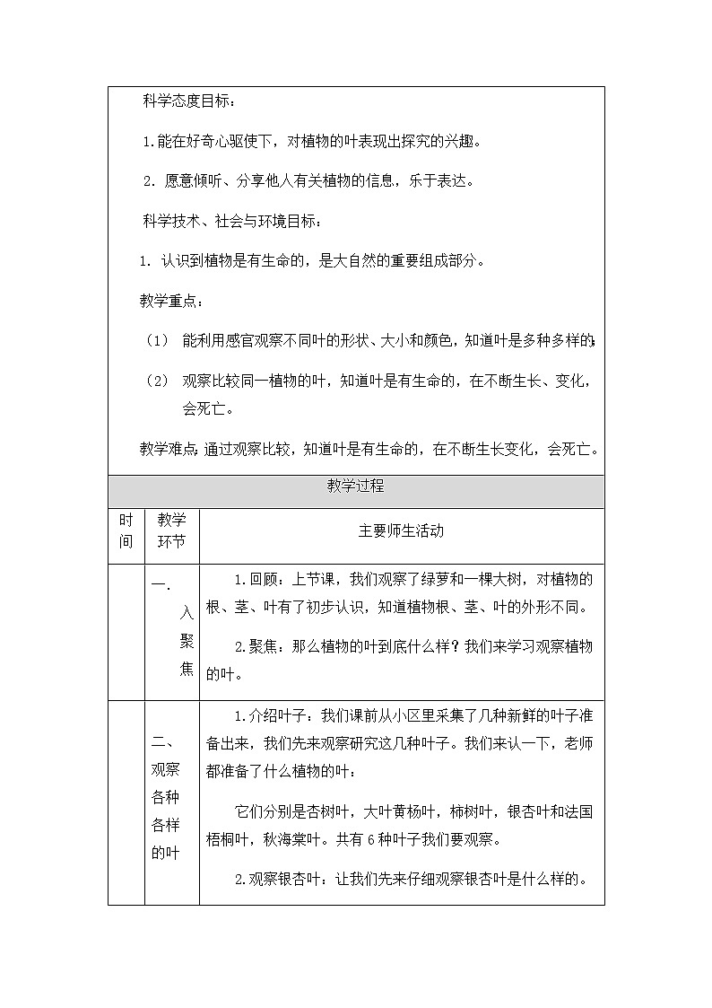 教科版1上科学 1.3 观察叶 课件+教案+练习+任务单+素材02