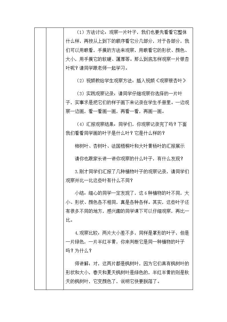教科版1上科学 1.3 观察叶 课件+教案+练习+任务单+素材03