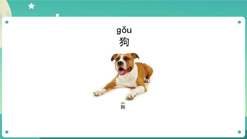 教科版1上科学 1.5 植物是“活”的吗 课件+教案+练习+任务单03