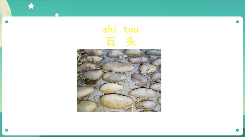 教科版1上科学 1.5 植物是“活”的吗 课件+教案+练习+任务单06