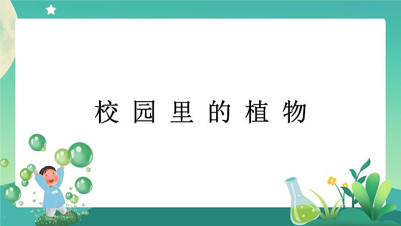 教科版1上科学 1.6 校园里的植物 课件+教案+练习+任务单01