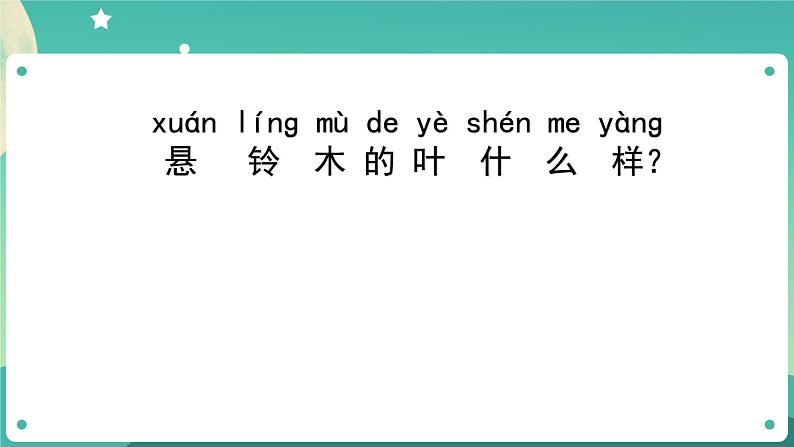 教科版1上科学 1.6 校园里的植物 课件+教案+练习+任务单04