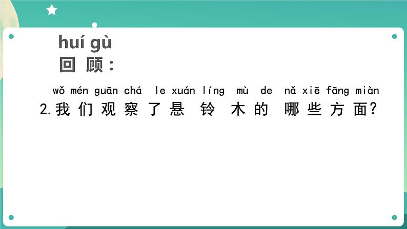 教科版1上科学 1.6 校园里的植物 课件+教案+练习+任务单07