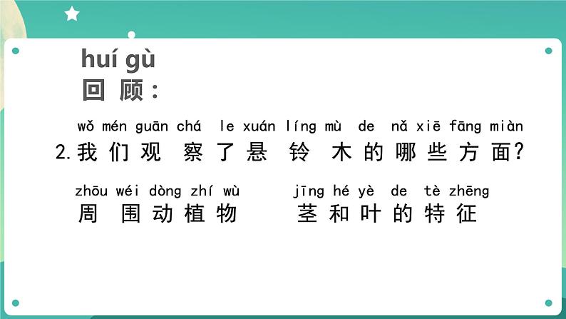 教科版1上科学 1.6 校园里的植物 课件+教案+练习+任务单08