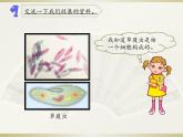 小學(xué)科學(xué)青島版六三制六年級上冊第一單元第1課《細胞》課件2（2022）.ppt