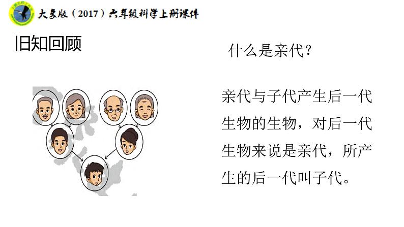 大象版（2017）六年级科学上册4.2动物的遗传和变异课件+素材06