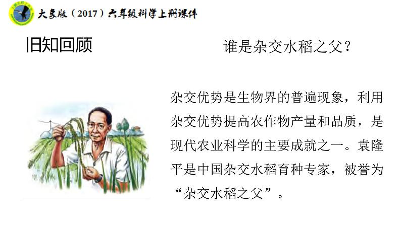 大象版（2017）六年级科学上册4.4追根溯源课件+素材08