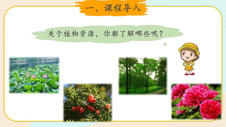 新大象科学三下 3.1 植物资源知多少 (课件PPT+教案)03