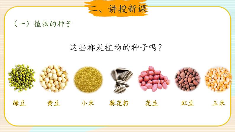 新大象科学三下 3.2 播下希望的种子 课件PPT+教案+视频04