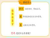 新大象科学三下 3.4 开放的花朵 课件PPT+教案+视频