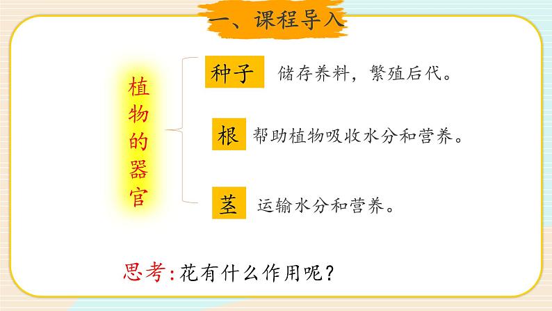 新大象科学三下 3.4 开放的花朵 课件PPT+教案+视频02