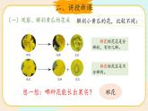新大象科学三下 3.4 开放的花朵 课件PPT+教案+视频