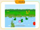 新大象科學(xué)三下 3.5 碩果累累 課件PPT+教案+視頻