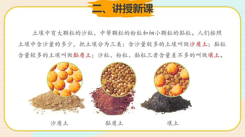 新大象科学三下 4.3 不一样的土壤 课件PPT+教案08