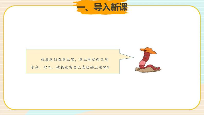 新大象科学三下 4.4 土壤与植物 课件PPT+教案02