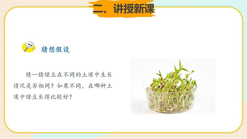 新大象科学三下 4.4 土壤与植物 课件PPT+教案03
