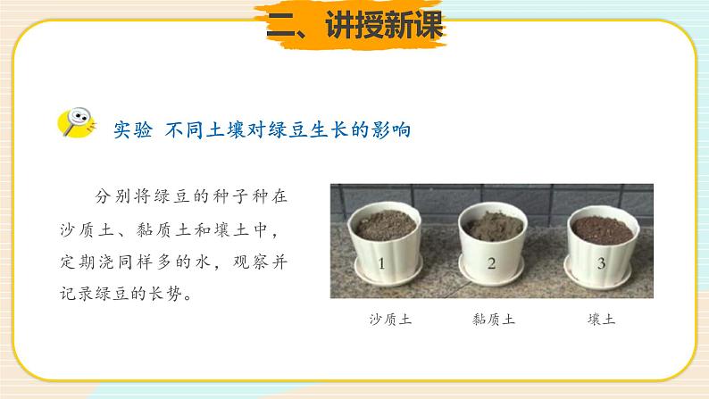 新大象科学三下 4.4 土壤与植物 课件PPT+教案04