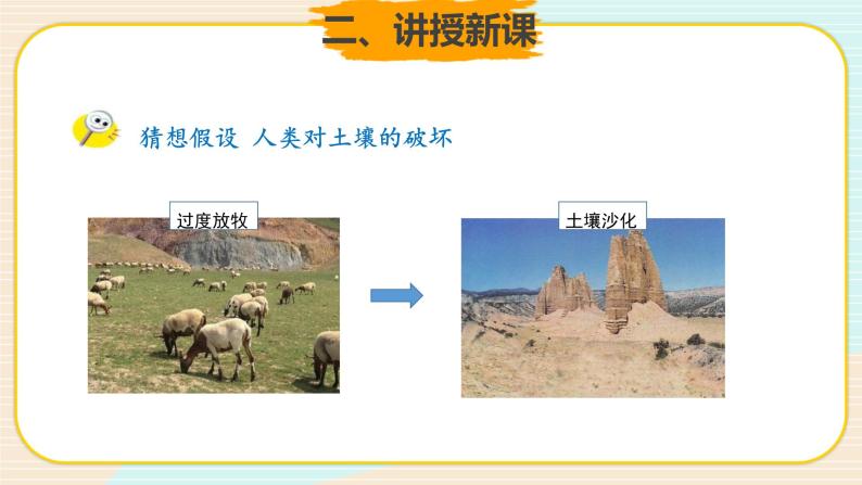 新大象科学三下 4.5 保护土壤 课件PPT+教案05