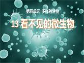 冀人版五上科学 第13课《看不见的微生物》教案+课件PPT