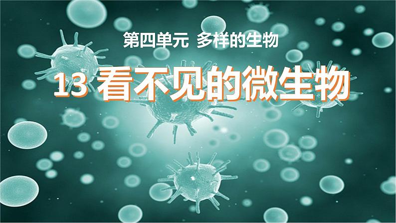 冀人版五上科学 第13课《看不见的微生物》教案+课件PPT01