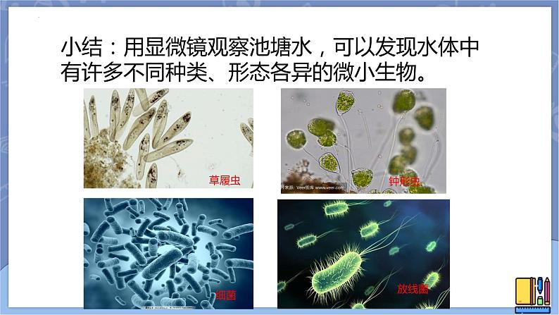 冀人版五上科学 第13课《看不见的微生物》教案+课件PPT08