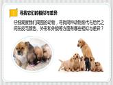 冀人版六年级科学上册 第二课《相似与差异》课件PPT+教案