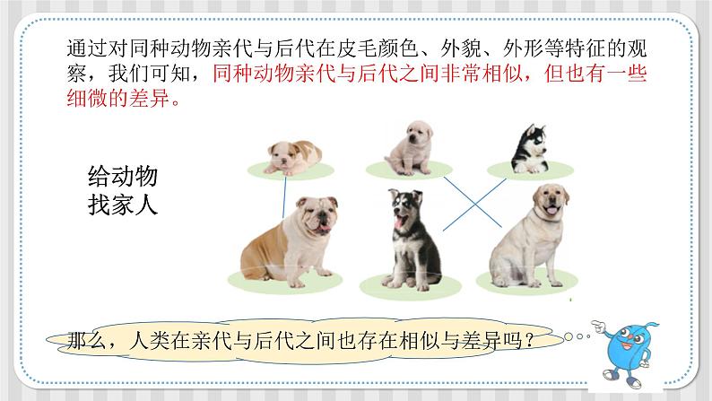冀人版六年级科学上册 第二课《相似与差异》课件PPT+教案08