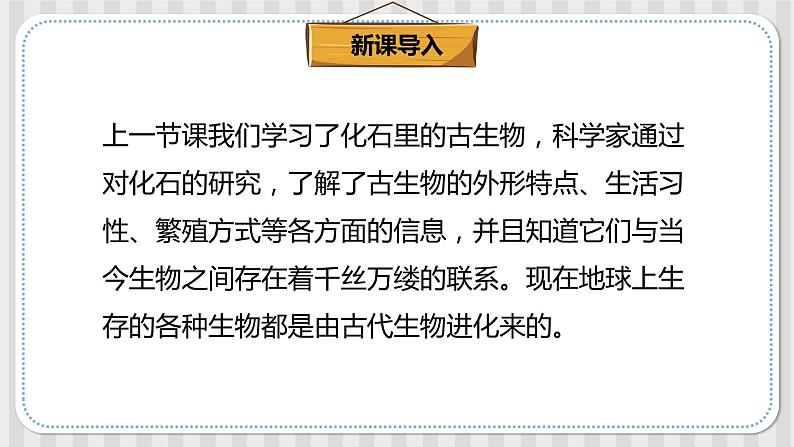 冀人版六年级科学上册 第四课《生物的演变》课件PPT+教案02