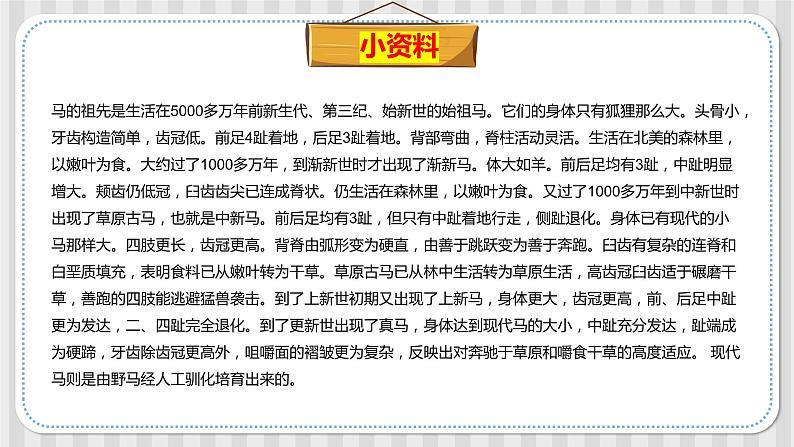 冀人版六年级科学上册 第四课《生物的演变》课件PPT+教案06