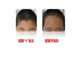 小学科学 教科版 六年级上册 相貌各异的我们  课件