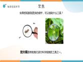 小學科學 教科版 六年級上冊  《放大鏡》  課件