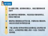 教科版六年级科学上册课件 1微小世界 1 放大镜