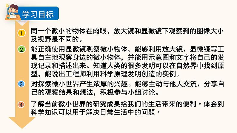 教科版六年级科学上册课件 1微小世界 3 观察身边微小的物体02