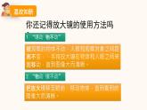 教科版六年级科学上册课件 1微小世界 3 观察身边微小的物体