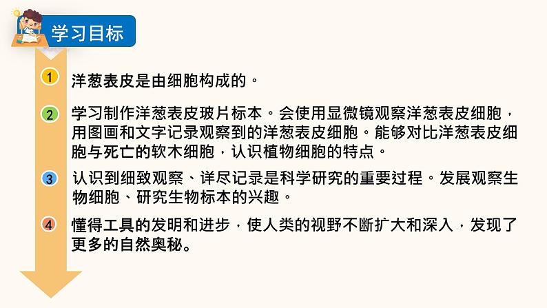 教科版六年级科学上册课件 1微小世界 4 观察洋葱表皮细胞02