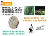 教科版六年级科学上册课件 1微小世界 4 观察洋葱表皮细胞