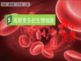 教科版六年级科学上册课件 1微小世界 5 观察更多的生物细胞