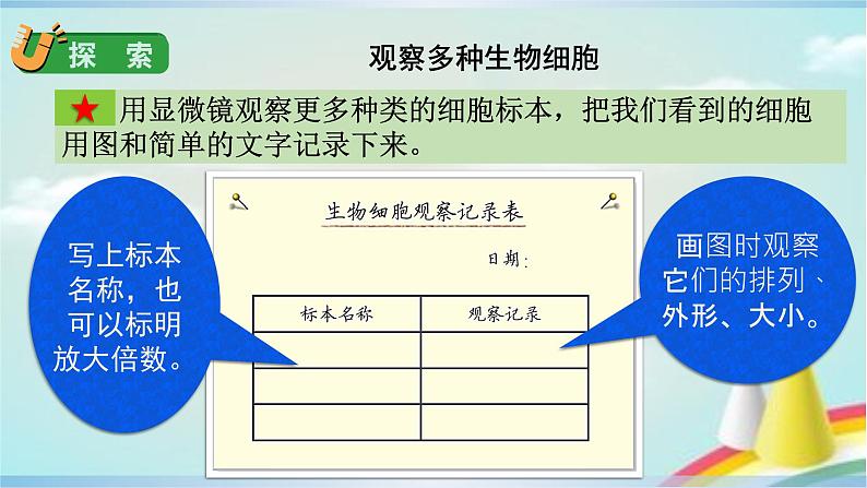 教科版六年级科学上册课件 1微小世界 5 观察更多的生物细胞06