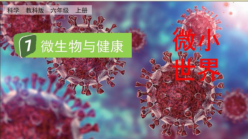 教科版六年级科学上册课件 1微小世界 7 微生物与健康01