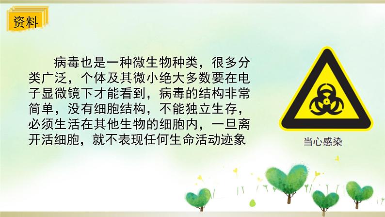 教科版六年级科学上册课件 1微小世界 7 微生物与健康05