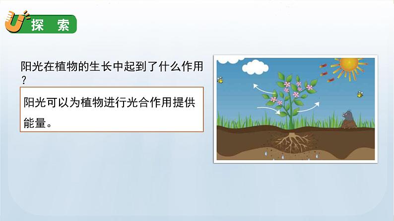 教科版六年级科学上册课件 第4单元 7 能量从哪里来07