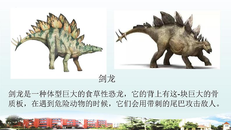 小学科学青岛版六三制六年级上册第一单元第3课《灭绝的生物》教学课件04