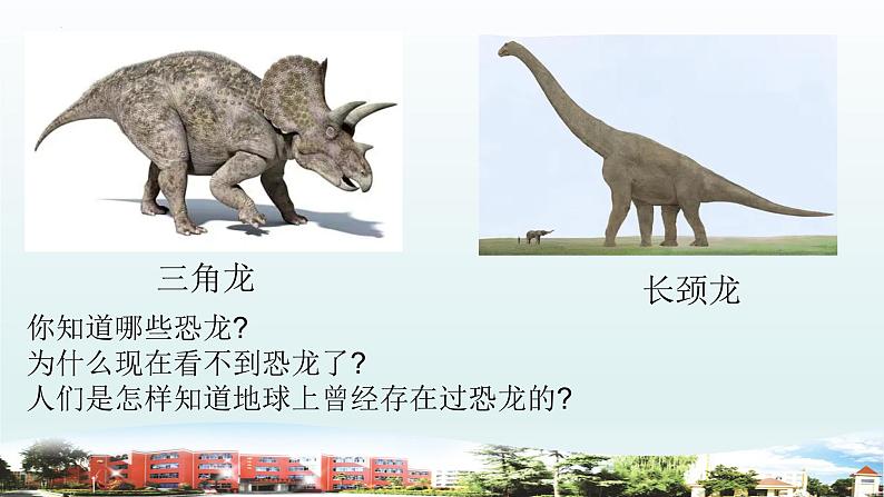 小学科学青岛版六三制六年级上册第一单元第3课《灭绝的生物》教学课件05