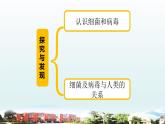 小学科学青岛版六三制六年级上册第二单元第4课《细菌和病毒》教学课件