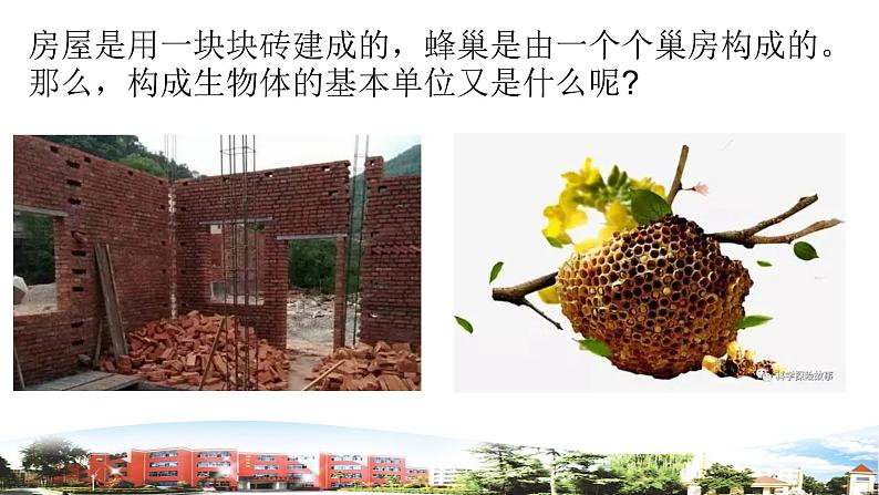 1、《细胞》课件第2页