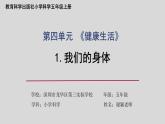 小学科学 五年级上《我们的身体》课件