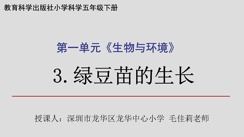 小学科学 五年级下《绿豆苗的生长》 课件第1页