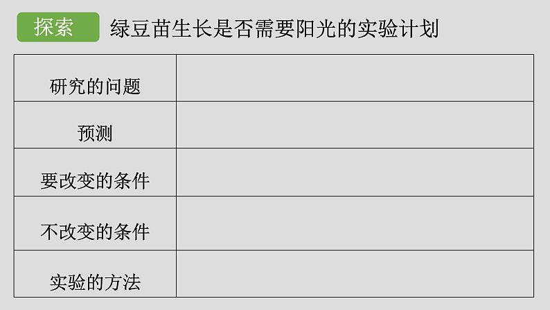 小学科学 五年级下《绿豆苗的生长》 课件第5页